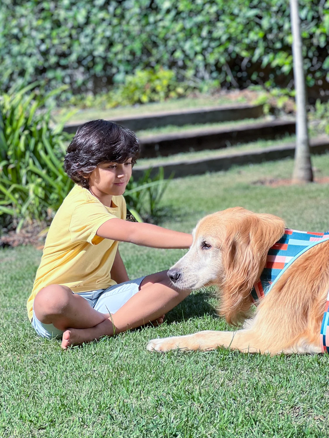 Ensaio fotográfico com cachorro ao ar livre