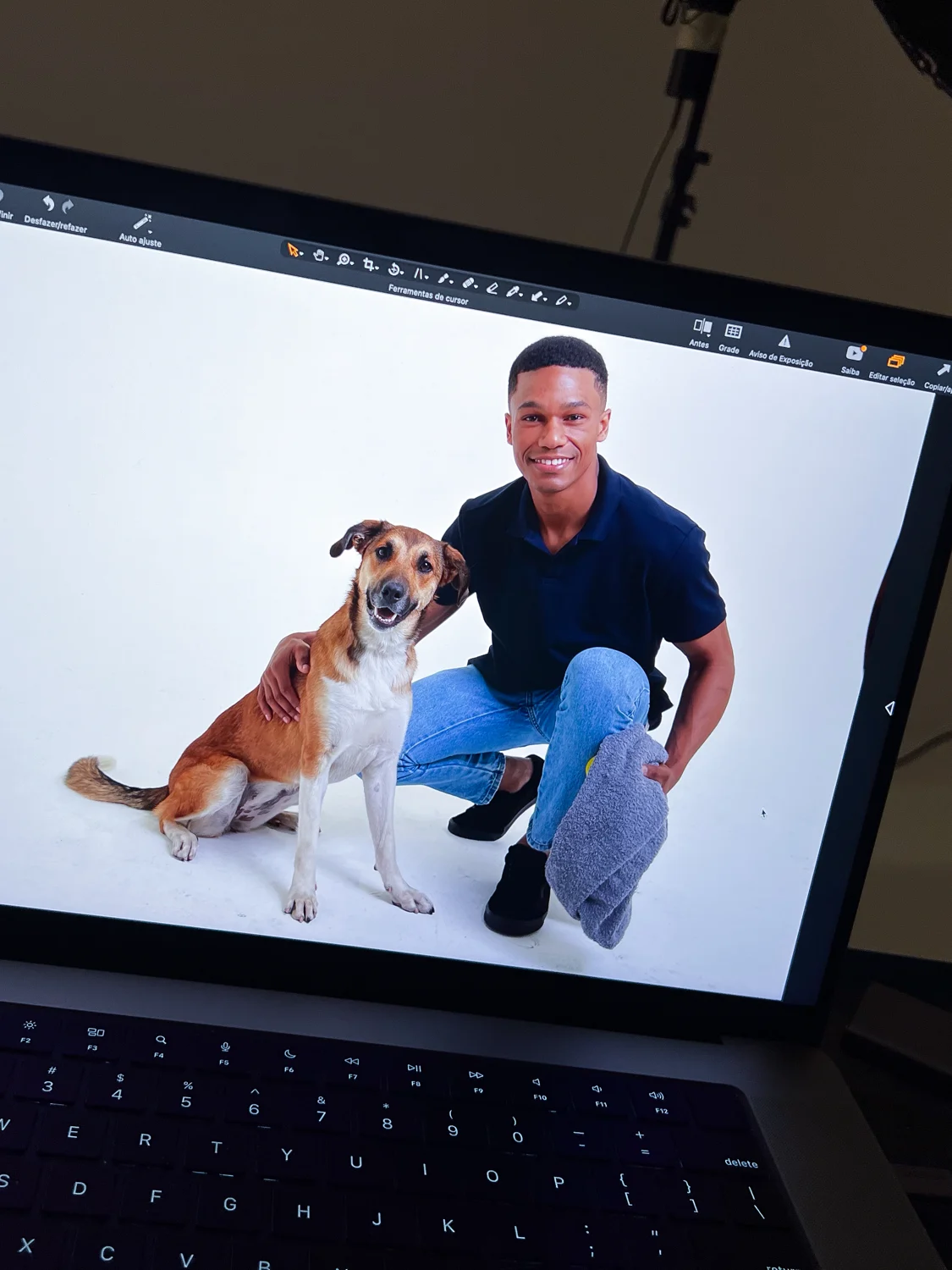 Produção fotográfica com cães em estúdio