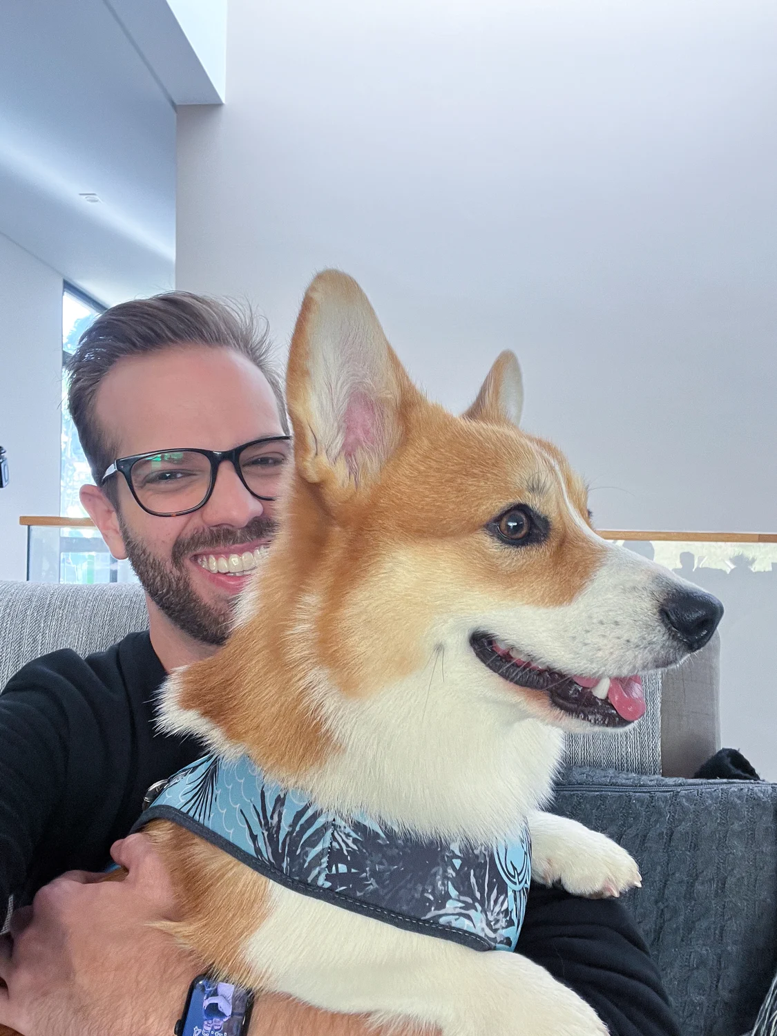 Retrato com cachorro da raça corgi