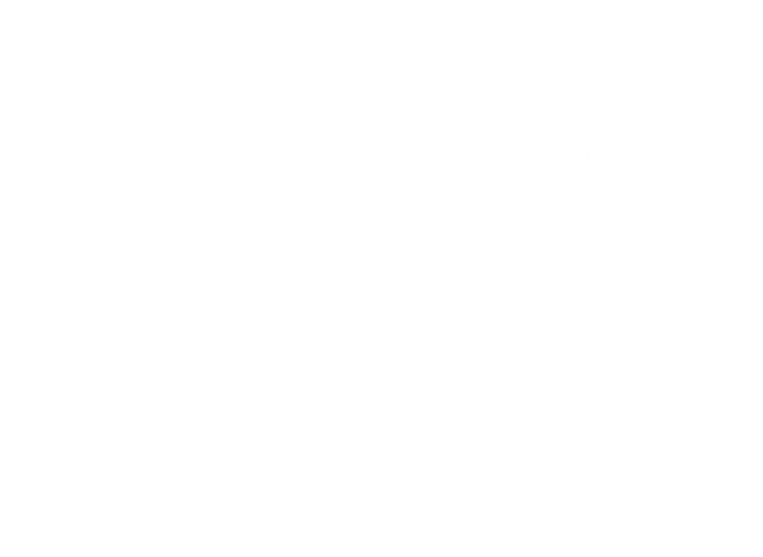 Estúdio ALA — Brilho e Carnaval