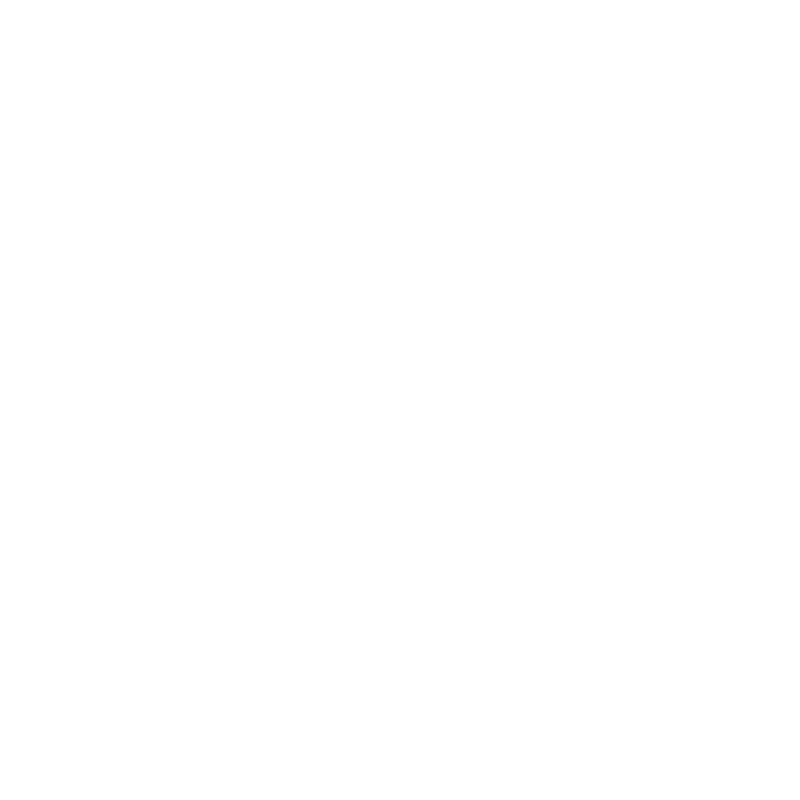 Walt Disney World